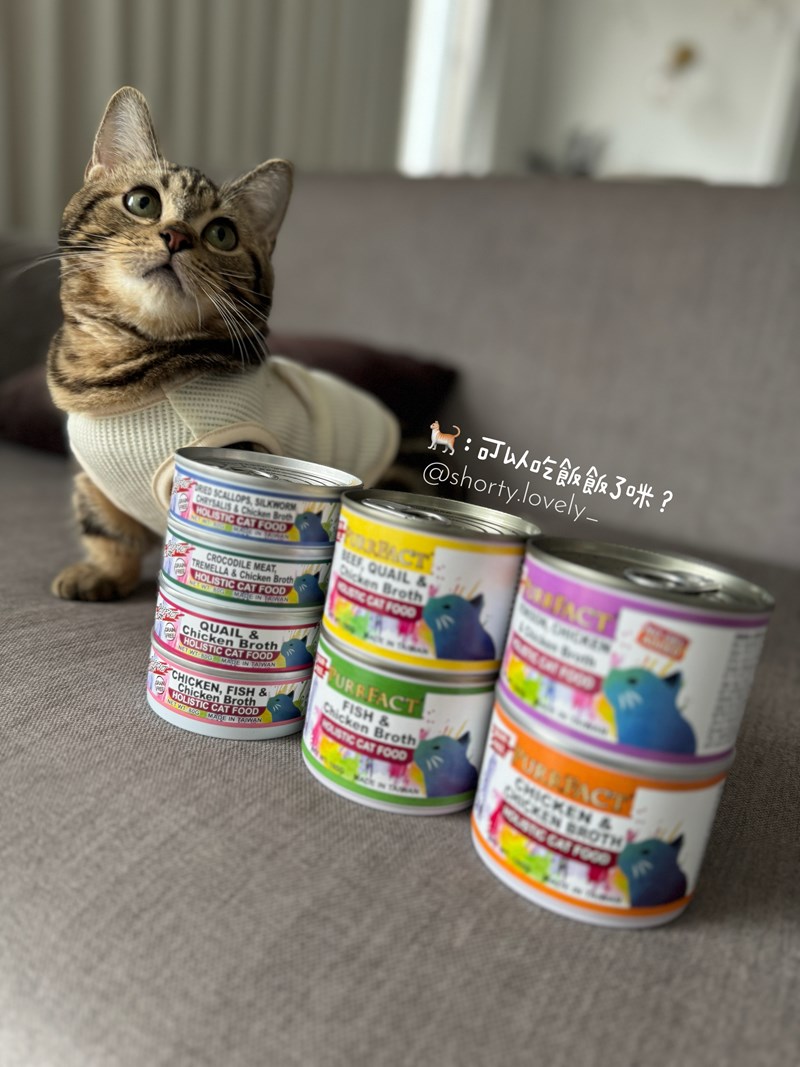 女人知己試用大隊,口碑行銷,部落客行銷,PURRFACT 波菲特貓用主食罐,主食罐,PURRFACT波菲特,貓主食罐,貓罐,PURRFACT波菲特貓用主食罐,魚肉蔓越莓主食罐,鮮嫩雞主食罐,鹿肉雞肉主食罐,牛肉鵪鶉貓主食罐,干貝蠶蛹配方,鱷魚肉白木耳配方,雞肉魚肉配方,安心鶉配方,評價,體驗,適口性佳,心得,成貓適用,高齡貓適用,質地是慕絲狀